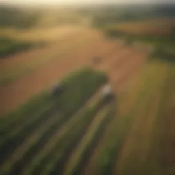 Aerial view of thriving agricultural fields